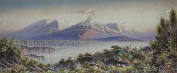 Rotomahaura Lake Oil Painting by Samuel H. Moreton