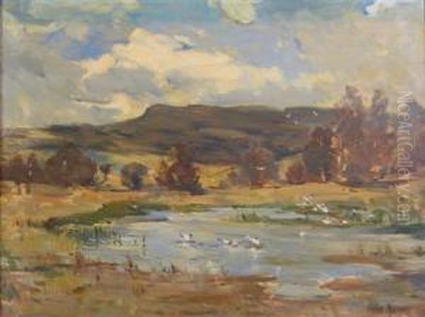 Gulls Nesting Place In Glenfender Oil Painting by Annie W. Morga