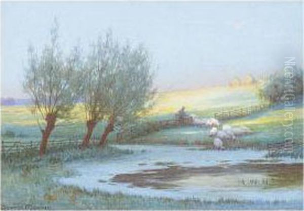 Sheep Watering Oil Painting by Baxter Morgan