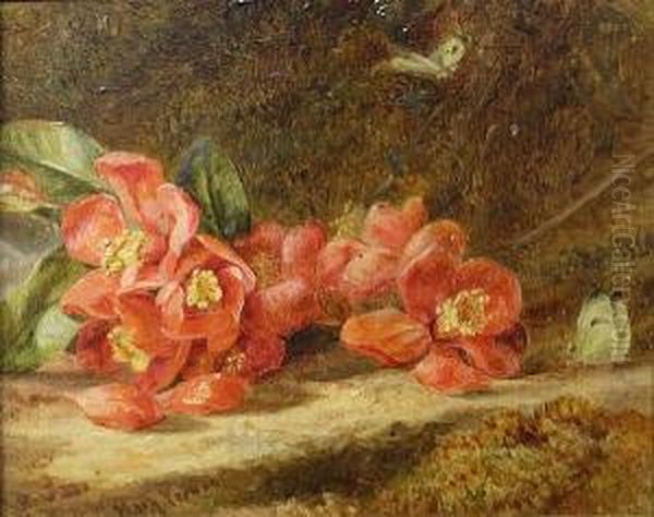 Dog Roses And Butterflies Oil Painting by Mary Vernon Morgan