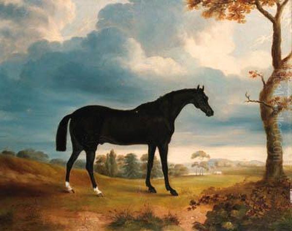 A Black Racehorse In An Extensive Landscape Oil Painting by George Morley