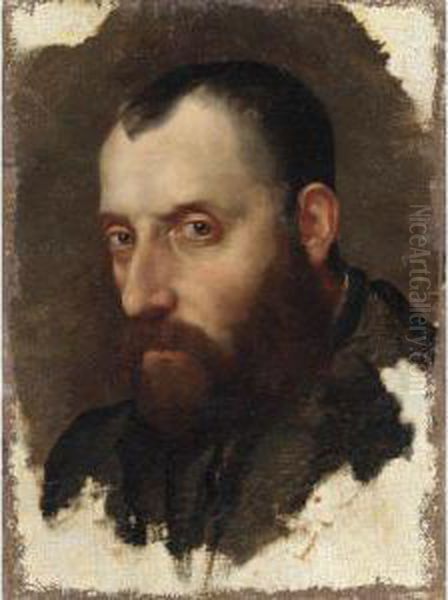 Testa Di Gentiluomo Oil Painting by Giovanni Battista Moroni