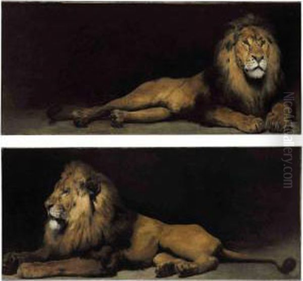 Reclining Lions Oil Painting by Aime Morot