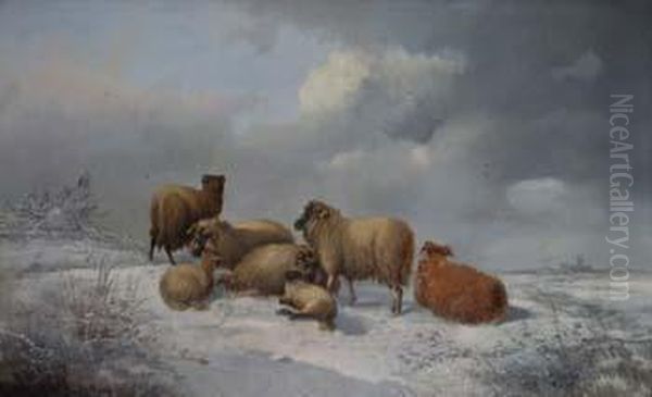 Sheep In A Winter Landscape Oil Painting by Alfred Morris