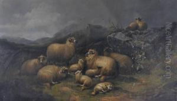 Sheep In The Mountains Oil Painting by Alfred Morris