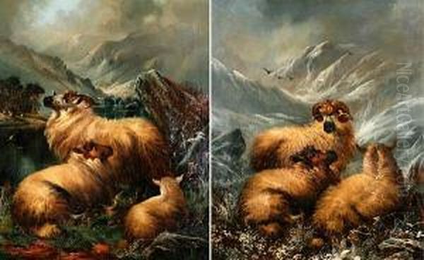 Ram, Ewe And Lamb On A Snowy Hillside Inwinter Oil Painting by Alfred Morris