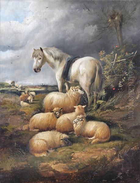 Pony And Sheep Seated By A Bank Oil Painting by Alfred Morris