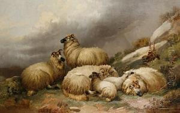 Sheep In A Highland Landscape Oil Painting by Alfred Morris