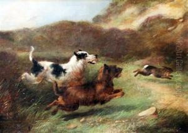 Terriers Chasing A Rabbit Oil Painting by Charles Morris