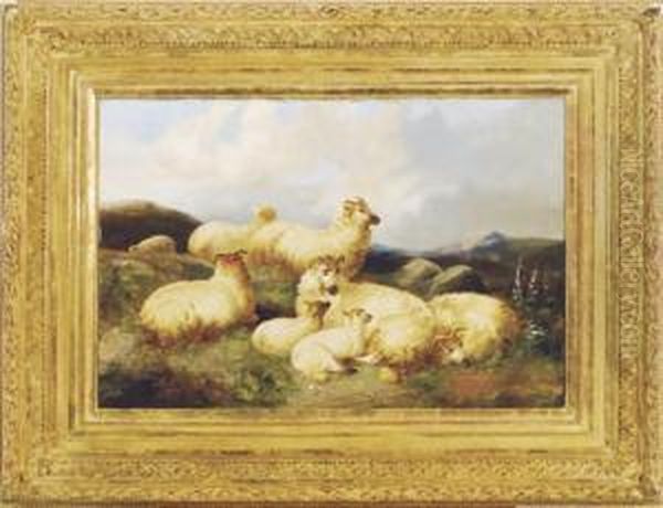 Sheep In A Moorland Landscape Oil Painting by James Charles Morris