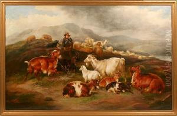 Highland Shepherd With Goats Oil Painting by J.C. Morris