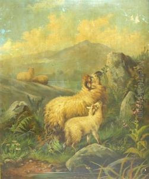 Sheep Grazing By A Lochside Oil Painting by John Morris