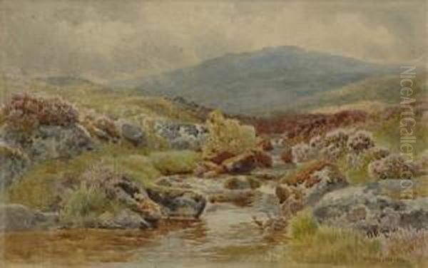 Cattle Ondartmoor Oil Painting by William Sidney Morrish