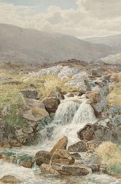 Sheep Grazing By A Moorland Stream Oil Painting by William Sidney Morrish