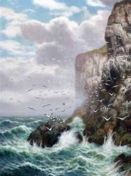 Gulls On Sea Cliffs Oil Painting by Alex Mortimer