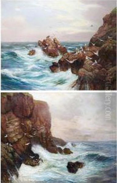 A Rocky Coastal Scene With Seagulls By Cliffs Oil Painting by Alex Mortimer