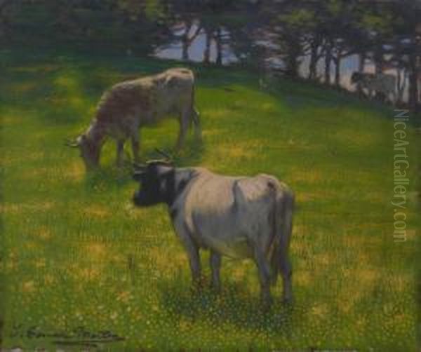 Cattle In A Meadow Oil Painting by Thomas Corsan Morton