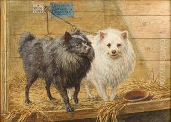 Two Pomeranians In A Kennel Oil Painting by Richard S. Moseley