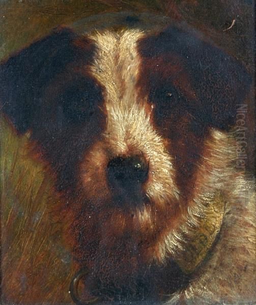 Head Of An Old English Wirehair Terrier Oil Painting by Richard S. Moseley