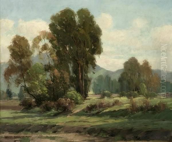 Near Riverside Drive Oil Painting by Walter Farrington Moses