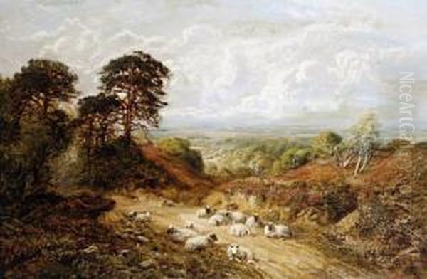 Landscape With Sheep Oil Painting by George William Mote