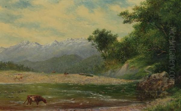 Looking Up The Taramakau, River From Jackson's Westland, New Zealand Oil Painting by John Elder Moultray