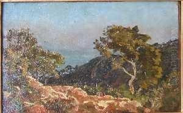 Paysage De La Cote D'azur Oil Painting by Henri Laurent Mouren