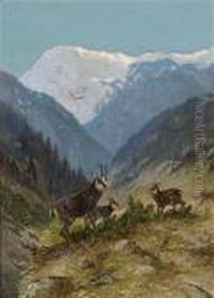 Flock Of Chamois In The High Mountains Oil Painting by Moritz Muller