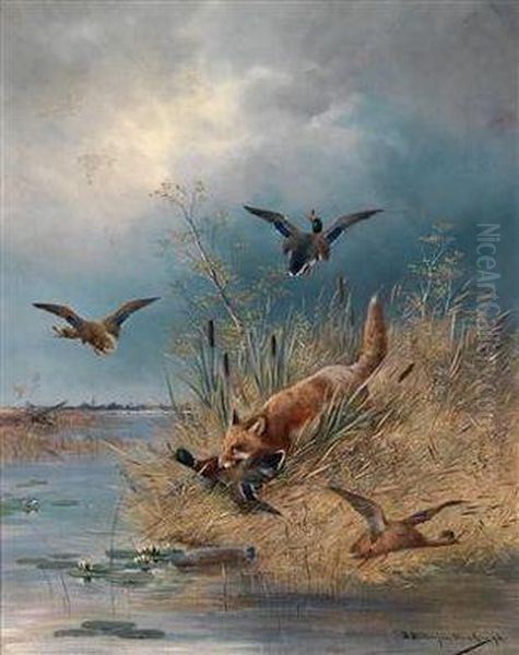 Ein Fuchs Bei Den Wildenten Oil Painting by Moritz Muller