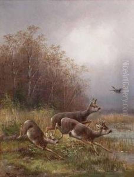 Aufgeschrecktes Rotwildund Wildente Am Seeufer Oil Painting by Moritz Muller