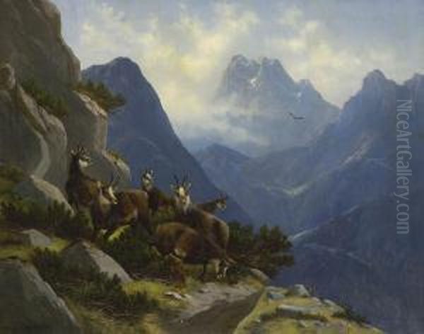 Gamswild Im Hochgebirge Oil Painting by Moritz Muller