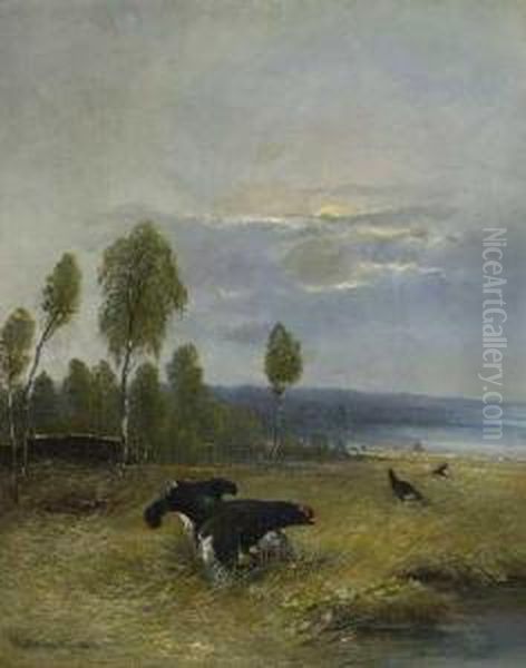 Birkhahnbalz Im Moor Oil Painting by Moritz Kindermuller Muller