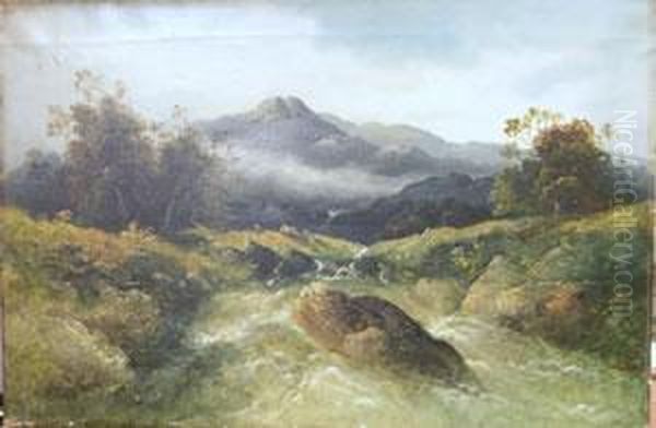 Mountainous River, Possibly North Wales Oil Painting by Wergmann Muller