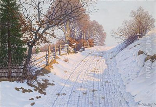 A Sunny Winter