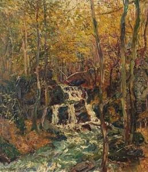 Waldlandschaft Mit Kleinem Wasserfall. Oil Painting by Peter Paul Muller-Werlau