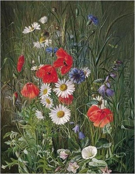 Danske Markblomster, Valmuer, Kornblomster, Margeritter (flowers Of The Field) Oil Painting by Emma Mulvad