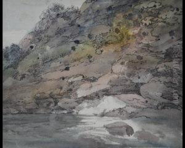 Study Of A River Bank Oil Painting by Thomas, Dr Munro