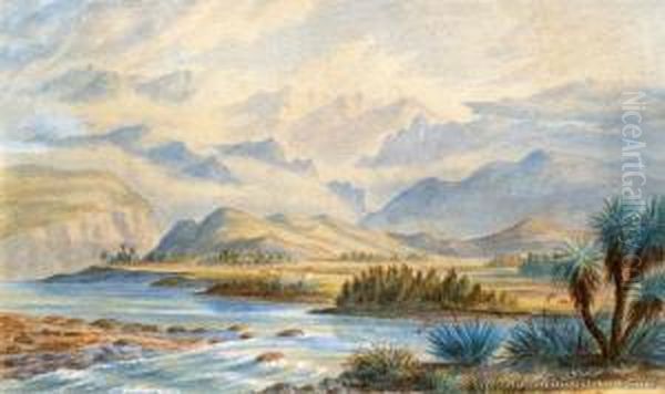 Awatere Valley, Marlborough Oil Painting by Charles Adolphus Muntz