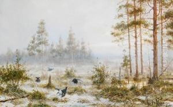 A Grouse Lek Oil Painting by Wladimir Leonidovich Murawjoff