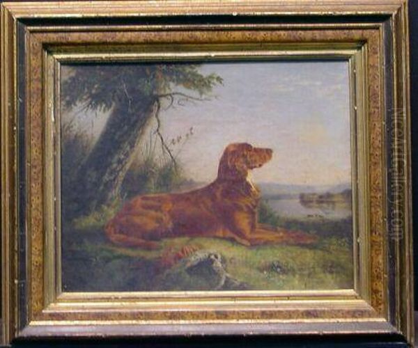 Setter Seated In A Landscape Oil Painting by C.R. Murdoch