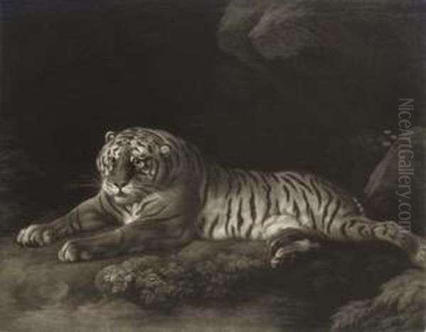 A Tigress Oil Painting by John Murphy