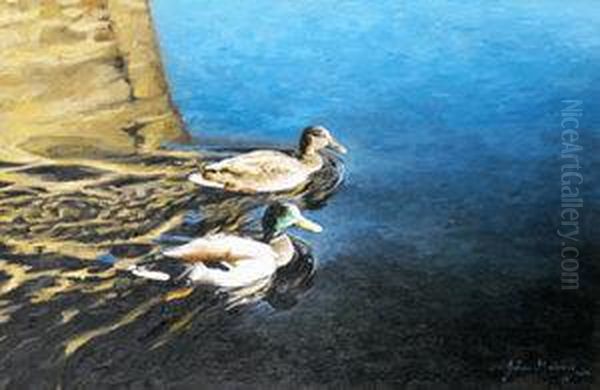 Two Ducks Oil Painting by John Murphy