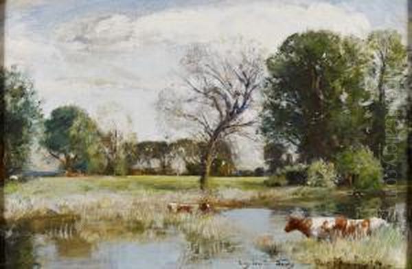 A River Landscape With Cattle Watering Oil Painting by David Murray