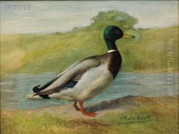 Mallard Oil Painting by Gustav Muss-Arnolt