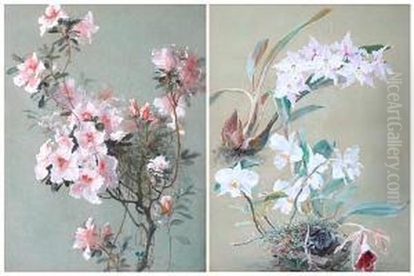 Botanical Studies Of Orchids And Azaleas Oil Painting by William Mussill