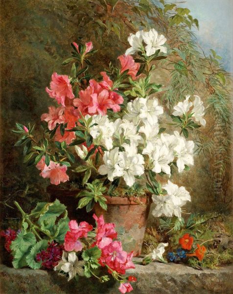 Azaleas Oil Painting by Martha Darley Mutrie