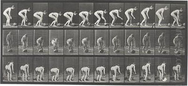 Animal Locomotion Oil Painting by Eadweard Muybridge