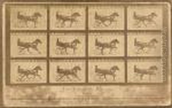 The Horse In Motion Oil Painting by Eadweard Muybridge