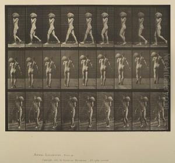 Selected Plates, From Animal Locomotion Oil Painting by Eadweard Muybridge