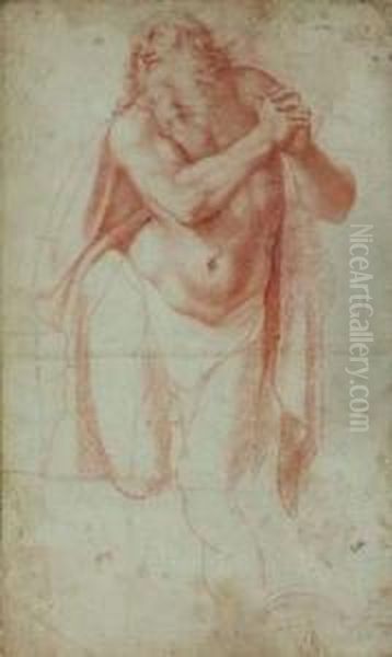 Etude Pour Un Saint Jerome Oil Painting by Girolamo Muziano